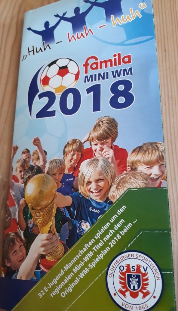 Mini-WM